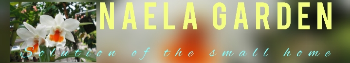 Naela Garden.